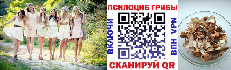 Псилоцибиновые грибы Psilocybe  Купить закладки  Славянск-на-Кубани 